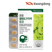 광동생활건강 광동 혈행 앤 기억력 징코 60정 4박스, 단일옵션, 상세 설명 참조