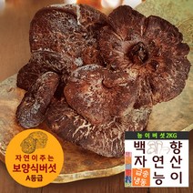 브랜드없음 [백향송이]자연향가득 자연산A등급 냉동 능이버섯 2kg, 능이버섯 A등급 2kg