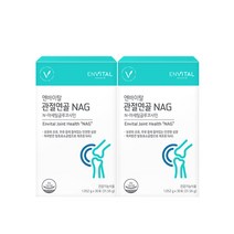 엔바이탈 관절연골 NAG 1.052g X 30포 2박스, 단일속성
