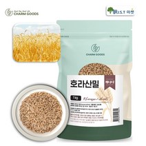 호라산밀 호라산 밀 쌀 캐나다산 고단백 슈퍼푸드 당뇨식 곡물 잡곡, 1팩, 1kg