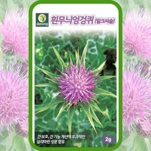 밀크시슬씨앗 흰무늬엉겅퀴 종자 2g 수비계 밀크씨슬 약초 씨, 단품