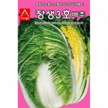아시아종묘 배추씨앗 장생3호 배추(2000립)