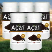4배 농축 브라질 아사이 베리 리치 분말 가루 파우더 캐나다 영양제 124g 5개
