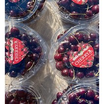고당도 프리미엄 생체리 새콤달콤 하트체리 300g, 1팩
