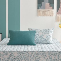 [박홍근홈패션] 플레인 모달 와플 베개커버 2장, 민트 2장