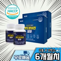 미국산 콘드로이친 알파 6개월치