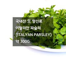 미트팬트리 국내산 生 이탈리안 파슬리 300g 거칠게 다져서 오일파스타에~