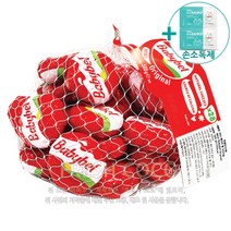 코스트코 BEL 미니 베이비벨 560G 프랑스산 [아이스박스] + 사은품