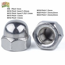 플랜지 후렌지 너트 피치 스테인레스 스틸 가는 나사 캡, 1pcs m24, 피치 2mm