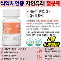 식약처인증 운동 전후 철분 영양 보충 임산부 수유부 가임기 임신준비 여성 여자 부모님 청소년 학생 운동선수 추천 에너지 활력 생성 건강기능식품 철분제 유기농 과일 야채 유산균