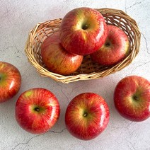 [경북사과] 국내산 부사 실속 사과 10kg (39-42과), 단품