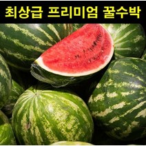 고씨네 특급 수박 3KG 애플수박 국내산수박 망고수박