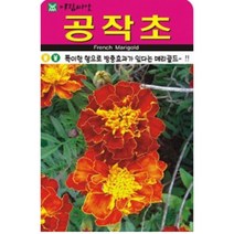 메리골드 공작초 씨앗(1000립)(A0641), 1개
