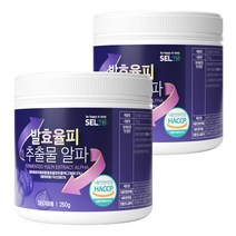 타이거아울렛 국산 발효 율피 추출 분말 250g x 2통 프리미엄 대용량 국내산 밤속껍질 추출물 가루 파우더 엘라그산 레몬밤 과라나, 단품, 단품