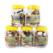 자연은살아있다 중 1P 야생 공룡 곤충 가축 장난감 동물모형세트 가축장난감, 본상품선택, 조류탐험, 본상품선택