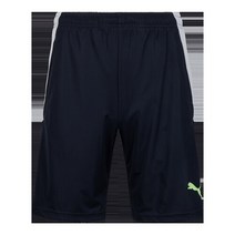 브랜드없음 푸마 팀리가 트레이닝 쇼츠[65766749]