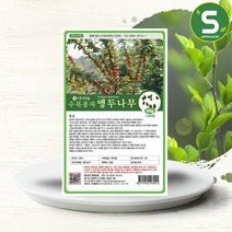 솔림텃밭몰 수목종자 앵두나무씨앗 50g 앵두나무종자 과수씨앗, 단품