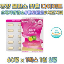 체지방 감소 내장지방 똥배 피하지방 다이어트 컷팅제