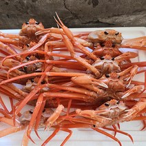 국내산 동해의 신성한 홍게3kg 자숙 / 가성비좋은 대게택배 실속형 구룡포