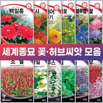 세계종묘 꽃 허브 씨앗 일년생 다년생 노지월동 야생화, 천일홍 100립