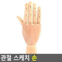 예고 인물정밀화 소묘보조용 오른손 모형 뎃생 미술연습 인형 크로키 미술용품