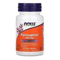 솔마켓 나우푸드 피크노제놀 100mg 60베지캡슐 2개 세트, 60정, 60정
