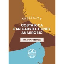 [스페셜티] 코스타리카 무산소발효 500g 안젤로빈. 복숭아 열대과일 시나몬, 더치용, 선택안함(안젤로빈 추천 로스팅)