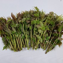 영호네농산물 가죽나물 300g, 1팩