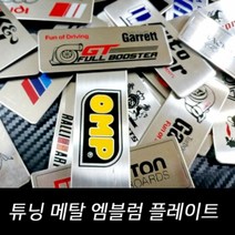 튜닝 메탈 엠블럼 플레이트, 14-레이