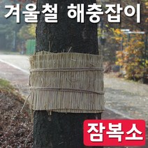 [조이가든] 잠복소