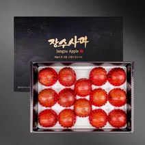 농협공판장 정성드린 장수사과세트 5kg(특14-16과내)