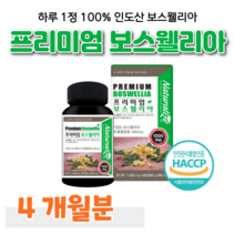 인도산 보스웰릭산 프리미엄 보스웰리아 하루 1정 해조 칼슘 울금 초록입홍합 초록 홍합 상어 연골 홈쇼핑 플래티넘 영양제 성분 가격 효능 비교 어린이집 선생님 선물, 4개월, 1000mg x 60정 (하루 한알)