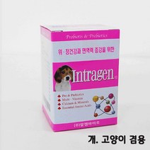 길냥이 노령묘 위장건강 면역력 애묘 영양제 친칠라