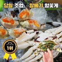 산지직송 국내산 서해안 알배기 활 암꽃게 숫꽃게 생물 급냉 냉동 꽃게 1kg 2kg 3kg 4kg 5kg, 5. 급냉 숫꽃게 4kg