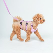 d7fbebc8c025101e0b56fc2fea4fa1104eef9aaf7f930a25c10aafa0e5d9