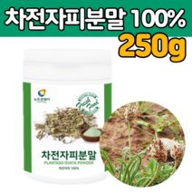 품질 좋은 화학 첨가물 없는 인도 산 차전 자피 껍질 100% 식 이섬유 건강 분말 질경이 씨 시 앗 껍데기 자전 차 피 천 자 비 타 먹는 음료 차 물 가루 부모님 중년 갱년기