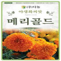 야생화 꽃씨 메리골드 100립
