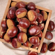 [부여직송]22년산 햇 알밤 2kg(대)/부여 달하산농장 굿뜨래 알밤, 단품