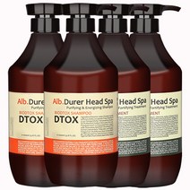 바이오디톡 상한머리 헤어클리닉 DTOX 선물세트 대용량 두피샴푸 2개 + 헤어팩 트리트먼트 2개, 1개