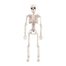 shangren 배우기를 위한 플라스틱 해골 모형 Halloween 훈장을 위한 인간적인 해골 모형, 10x40cm, 하얀색