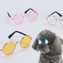 제이스 패션템 강아지 고양이 선글라스 도글라스 냥글라스, 5. 골드블랙