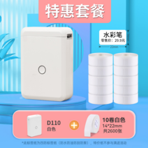 블루투스 라벨기 네임 이름 스티커 출력기 기계 미니 무선 프린터, 【특가세트】D110화이트+10롤14*22mm화이트