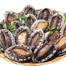 디카운티 활 전복 진도 참전복 1kg 1.5kg 2kg 중 대 특대 특특대 가정용 선물용, G. 1.5kg (6~7미)