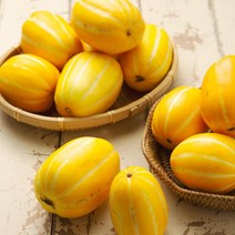 고당도 성주참외 프리미엄 고급형 정품 참외 중과 5kg 개별망포장