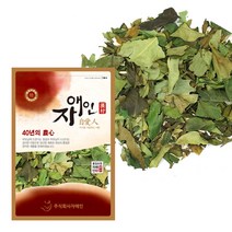 자애인 국산 황칠나무 잎 300g 황칠잎 황칠차 전남완도, 단품
