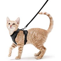 rabbitgoo Cat Harness and Leash for Walking Escape Proof Soft Adjustable Vest Harnesses for Cats E, 1