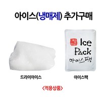 [31마켓] 냉매제 추가구매 아이스팩 2개/드라이아이스 1개, 드라이아이스 1개