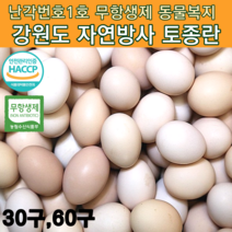 유황 먹인 난각번호1번 자연방사 유정란 자연방목계란 동물복지 토종닭 유정란 달걀 토종닭 알 방목계란 토종란 신선란 날 생 월간 1번 계란 정기배송 30구 60구, 토종란 30구*2개