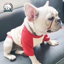 강아지 견주 커플룩 커플티 후드 티셔츠 캐주얼 반려견 애견 소형견 중형견 커플옷 세트, 반려견용/레드