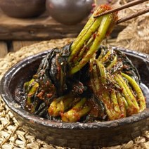 [국내산 100%] 알싸한 감칠맛 여수 갓김치 2KG